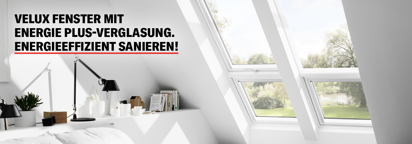 VELUX Fenster